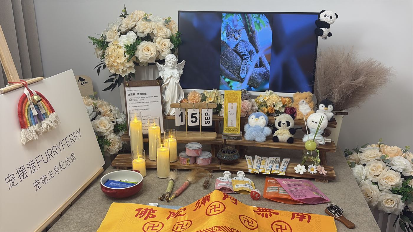 骨灰安置怎么选？泉州常见的五种安葬方式对比