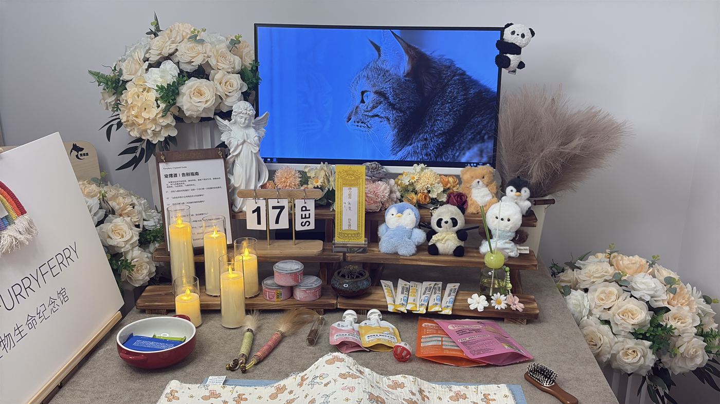 如何面对宠物离世的悲伤？写给泉州养宠人的心理支持