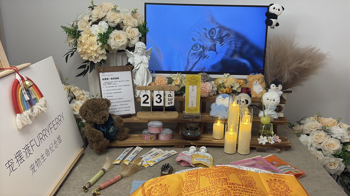 泉州宠物告别厅布置：如何给刺桐家属一个体面的告别